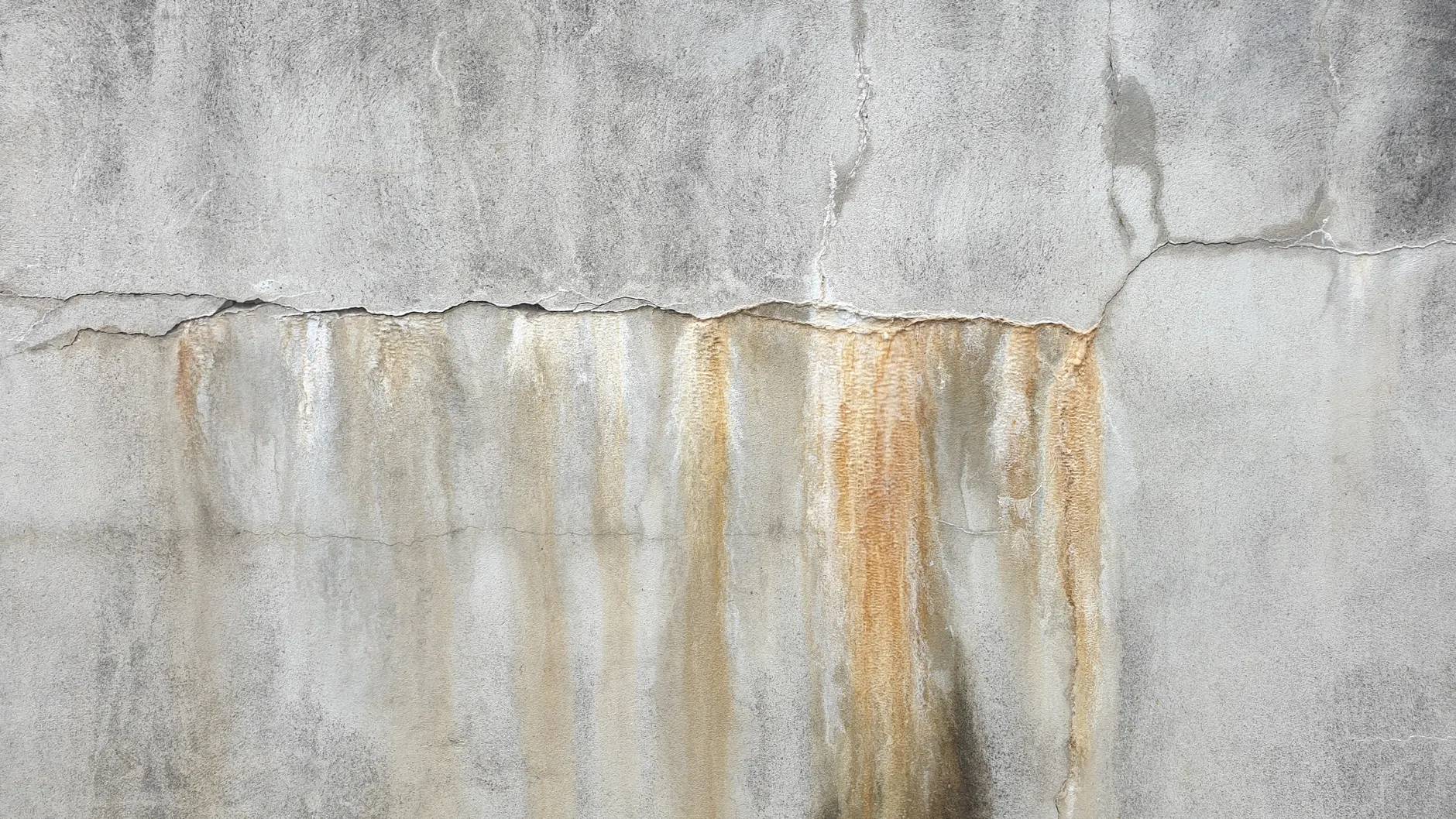 Acoustic & Damp-Tracing Detection